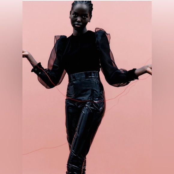 NWOT Zara Velvet blouse with Sheer Puffy Sleeves. Color Black / Size Small - Picture 3 of 10